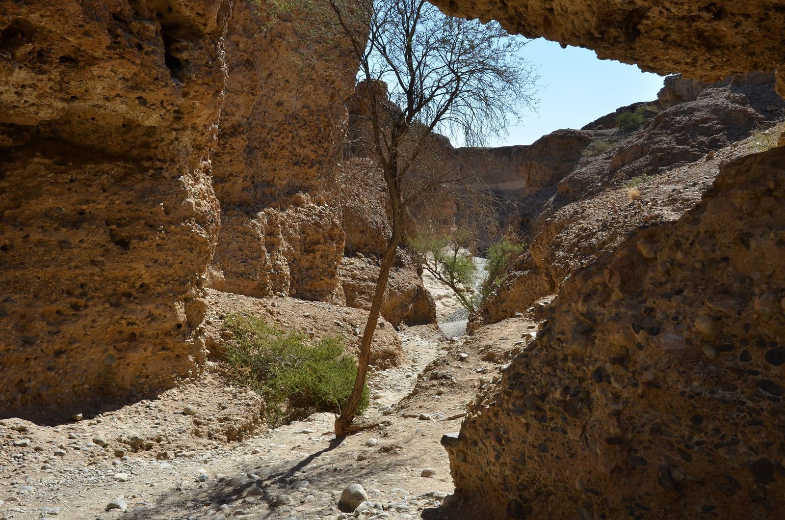 Desert drive