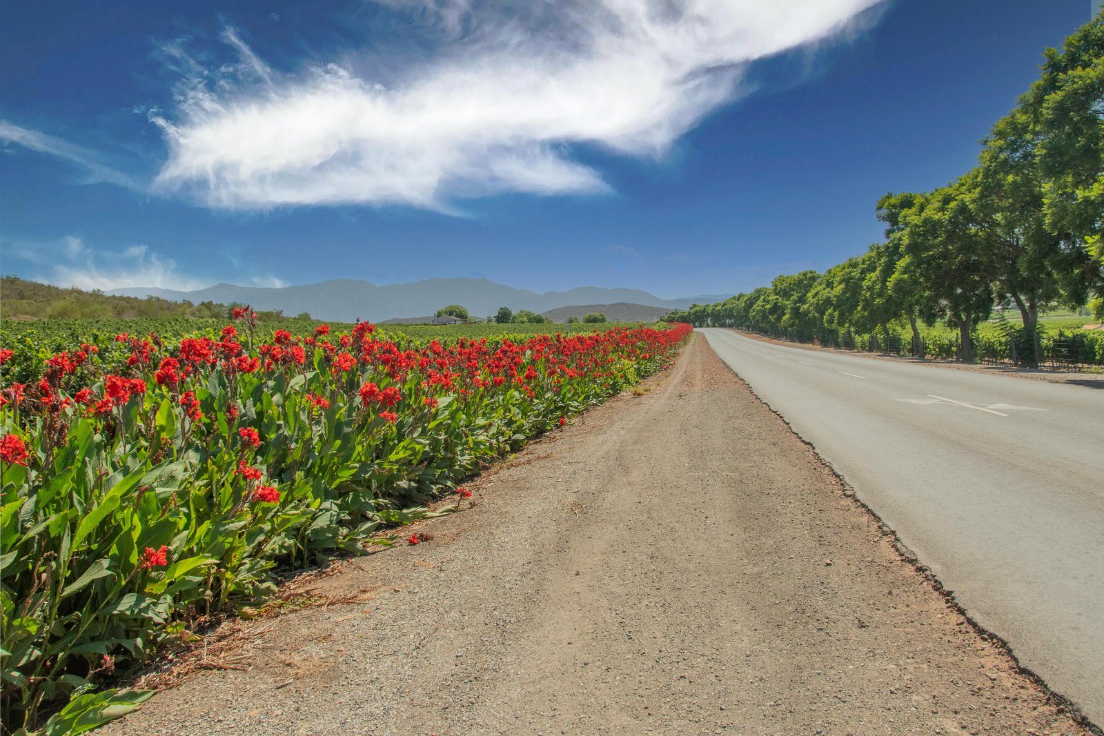 Garden Route