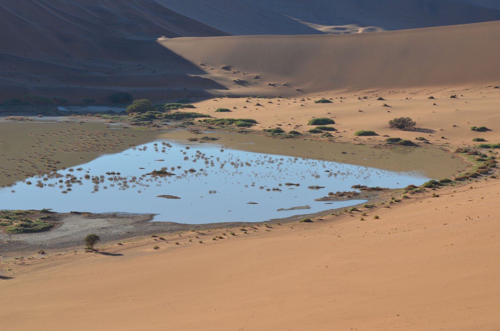 Namibia desert landscape
