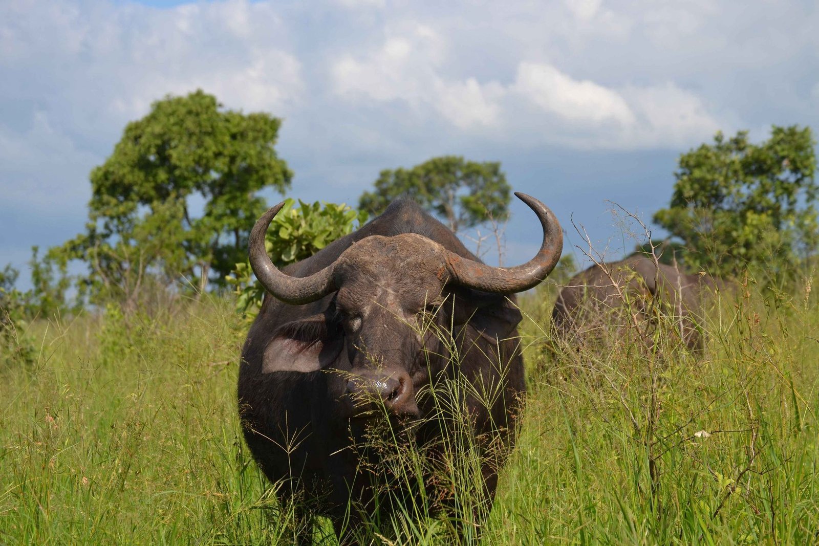 Kruger National Park